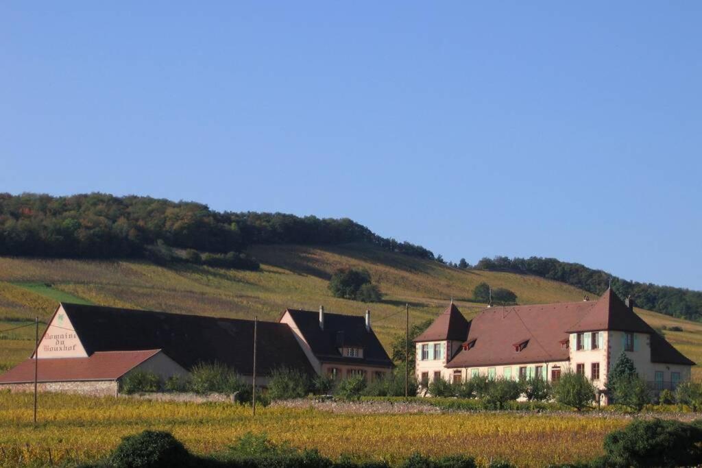 Domaine Du Bouxhof Lägenhet Mittelwihr Exteriör bild