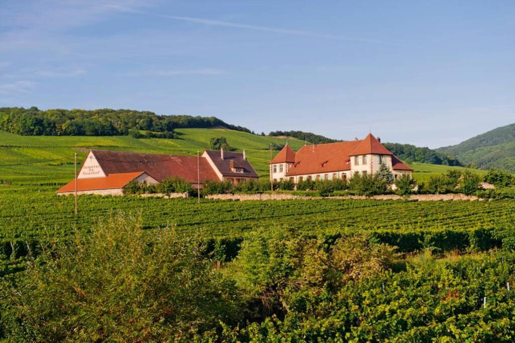 Domaine Du Bouxhof Lägenhet Mittelwihr Exteriör bild