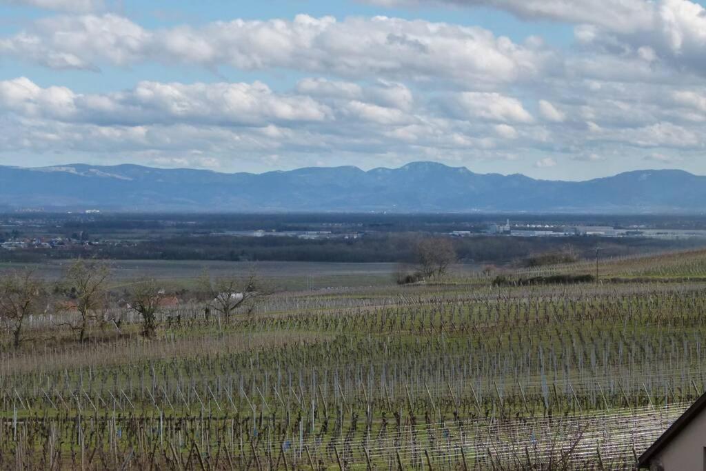 Domaine Du Bouxhof Lägenhet Mittelwihr Exteriör bild