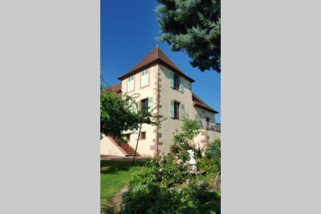 Domaine Du Bouxhof Lägenhet Mittelwihr Exteriör bild