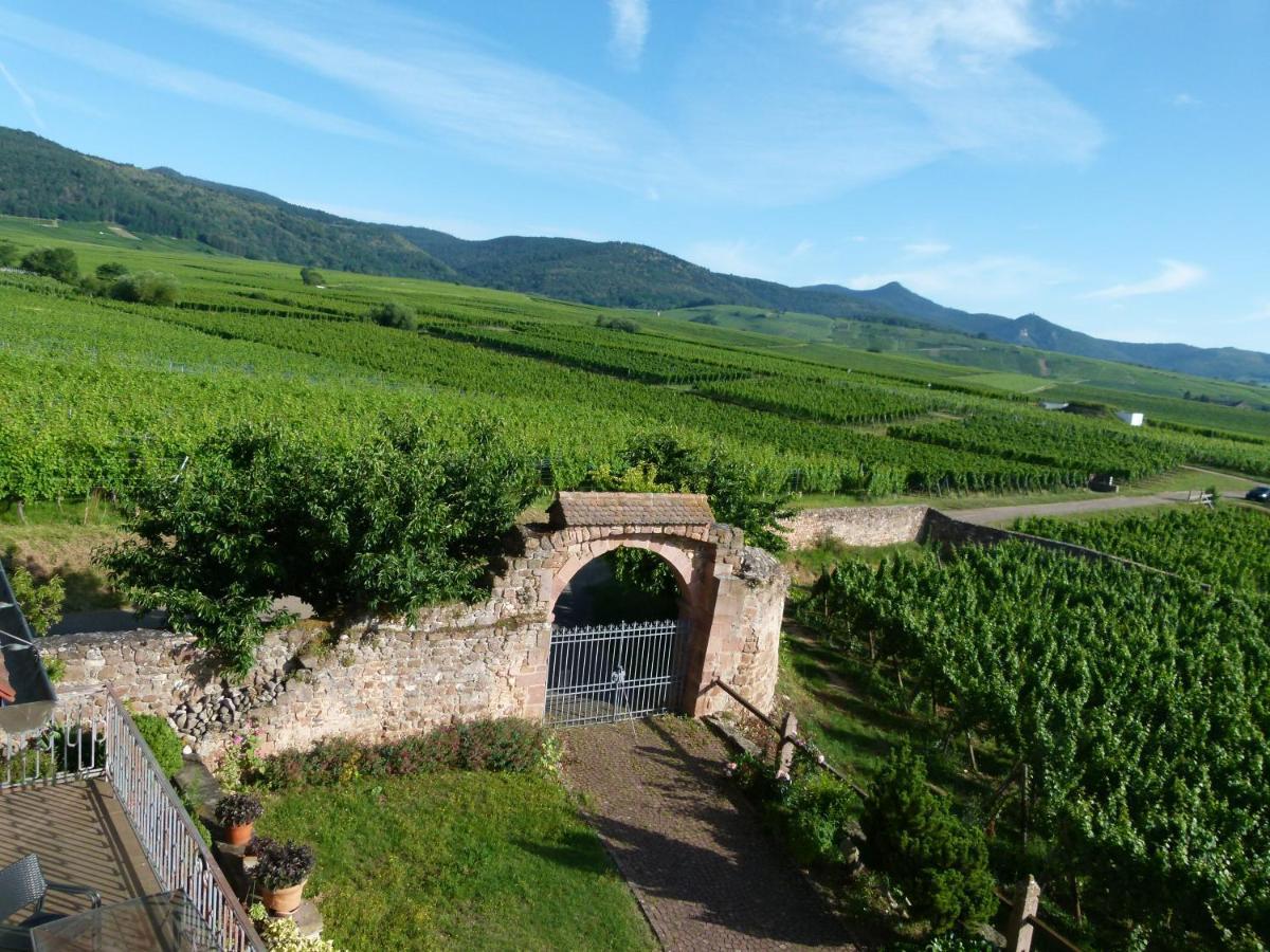 Domaine Du Bouxhof Lägenhet Mittelwihr Exteriör bild