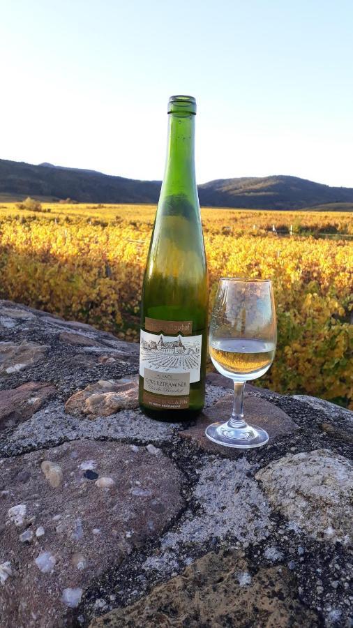 Domaine Du Bouxhof Lägenhet Mittelwihr Exteriör bild